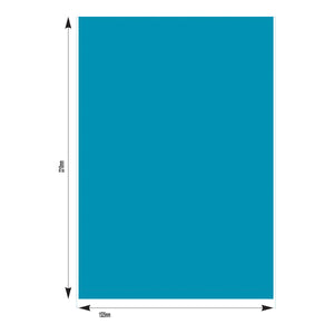5 Foot Full Wall PVC Solid Colour
