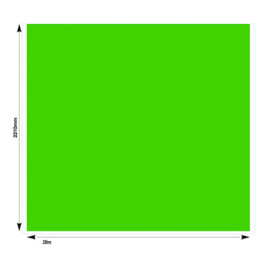 8 Foot Full Wall 500D Solid Colour